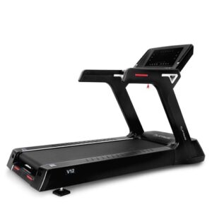 Cinta V12 Platinum